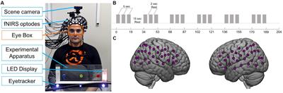 Joint Attention During Live Person-to-Person Contact Activates rTPJ, Including a Sub-Component Associated With Spontaneous Eye-to-Eye Contact